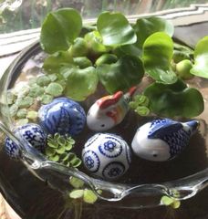 MrFKARUFkdPFoiTgbFhSCb.jpg@jpg