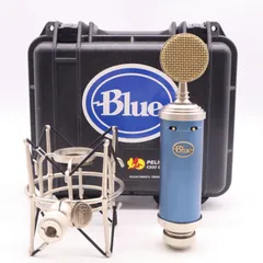 2025年最新】blue bluebird マイクの人気アイテム - メルカリ
