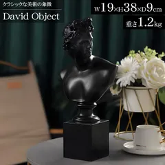 【父の日】ダビデ像 置物 オブジェ 雑貨 胸像 38cm ミケランジェロ 現代抽象芸術 バスト像 美術館 古代ギリシャ オーナメント 石膏像風 人物像 彫刻 置物 彫像 DO-25BKのサムネイル