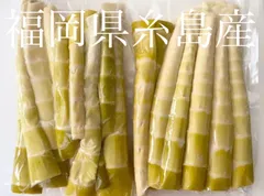 福岡県糸島市産・真竹のタケノコ水煮（穂先 500g × 2袋） 1kgのサムネイル