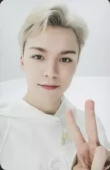 【中古】コレクションカード(男性) SEVENTEEN/VERNON(バーノン)/裏面白/雑誌「[GOING] Magazine Vol.2」封入フォトカード