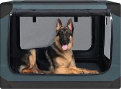 Item thumbnail for item c8553601-0d42-47f7-a7e7-8ea6244e4762