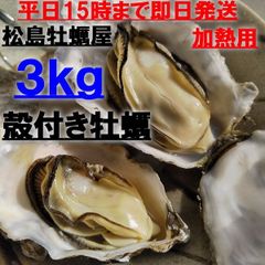 【年内12/31まで出荷可能 】牡蠣 3kg「松島牡蠣屋 九州専用出品 沖縄発送不可」 殻付き牡蠣 殻付き 牡蛎 牡蠣 殻付 宮城県産 3キロ 加熱用 加熱用牡蠣 牡蠣加熱用 牡蛎 BBQ 松島牡蠣屋 かき 海鮮 貝類 貝 松島牡蠣屋 生牡蠣