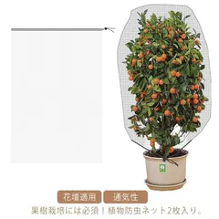 虫よけネット 2個セット 防虫ネット 防虫シート 植物保護カバー 防虫網 防鳥ネット 農業用 花壇適用 通気性 虫鳥除け網 虫ネット 園芸 菜園