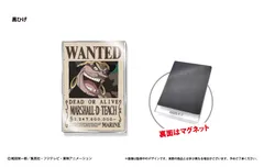 ワンピースカード　黒ひげ　ティーチ　手配書　SP psa10 wanted ワンピースカード 黒ひげ ティーチ 手配書 SP psa10 wanted