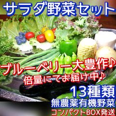 ♥コンパクトBOX発送♪♥13種類サラダ野菜ミックスセット野菜詰め合わせ無農薬