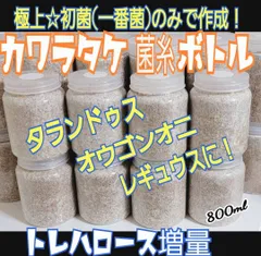 タランドゥスが大きくなる！極上！カワラタケ菌糸瓶【12本】特殊アミノ酸強化配合！ カワラ菌糸瓶 特大1500ml【4本】特殊アミノ酸強化配合！タラン