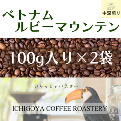 自家焙煎珈琲豆　ベトナム　ルビーマウンテン　中深煎り　100g×2