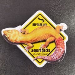 送料無料　Leopard gecko　レオパ　「ヒョウモントカゲモドキ（イエロー）ステッカー」（約５４ｍｍ×約６４ｍｍ）（レア　シークレット　カラー）