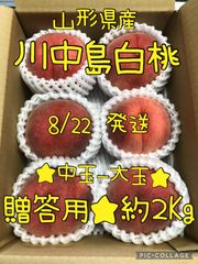 山形県産 桃「川中島白桃」贈答用★約２Kg  8/22発送