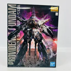 MG 1/100 ガンダムSEED プロヴィデンスガンダム バンダイ プラモデル / PROVIDENCE GUNDAM BANDAI