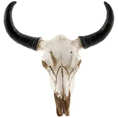 2023年最新】牛 頭蓋骨の人気アイテム - メルカリ