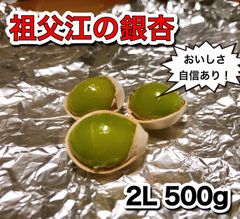 愛知県祖父江産　銀杏　2L 500g