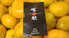 西宇和　百歓（ひゃっかん）みかん   5kg