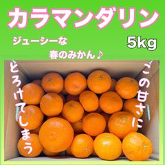春みかん　カラマンダリン　5kg  【和歌山県有田産】【農家直送】