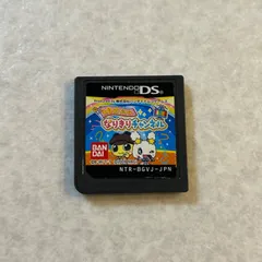 動作確認済 たまごっちのなりきりチャンネル ニンテンドーDS