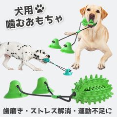 Item thumbnail for item dc0966c1-fa2a-40f2-82f2-2c940e9dabe2