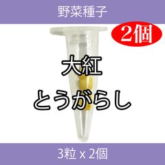 野菜種子 EBZ 大紅とうがらし 3粒 x 2個