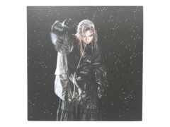 (sic)boy HOLLOW 初回限定盤 LPサイズジャケット CD UMCK-7219 ユニバーサルミュージック 中古品(013)