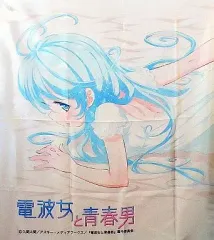 【中古】抱き枕カバー・シーツ(キャラクター) [単品] 藤和エリオ ベッドシーツ「TBS限定 電波女と青春男 2011夏コミ特別セット」