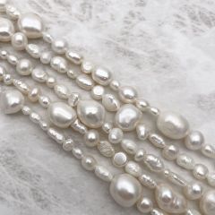 Item thumbnail for item 3ba0a10b-985e-4444-8c21-c3fb66510f4a