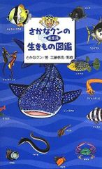 おしえてさかなクン 2005年サイン、イラスト入り - メルカリ