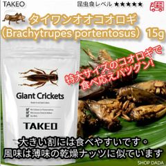 【昆虫スナック】タイワンオオコオロギ  15g