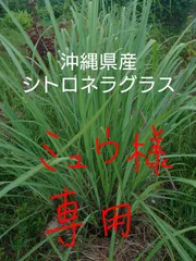 2025年最新】レモングラスしめ縄の人気アイテム - メルカリ