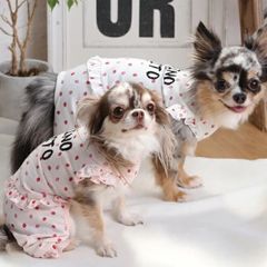 専用のサムネイル