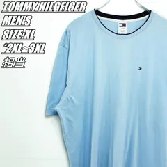 【US古着】TOMMY HILGFIGER　トミーヒルフィガー　ワンポイント刺<!-利用不可文字-!>　Tシャツ　メンズ　サイズ表記XL　2XL~3XL相当　ライトブルー