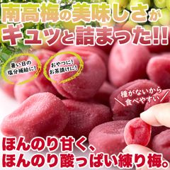 南高梅の美味しさがギュッと詰まった!!【大容量】やわらか練り梅200g ネコポス