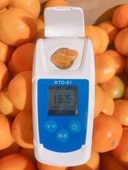 【超人気の為価格高騰！】即発送！熊本産 青島みかん【Lサイズ秀品約5k熊本フルーツ堂85