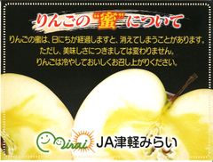 高糖度蜜入りサンふじ
