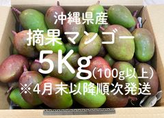 〈タイムSALE〉沖縄摘果マンゴー100-250g(Gurīnmangō)2Kg