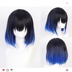 鬼滅の刃 胡蝶しのぶ ウィッグ セット済み - メルカリ