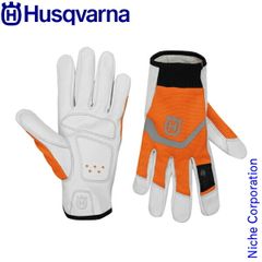 Item thumbnail for item e23a0758-747a-4c48-ba61-b4111b8011e6