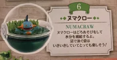 リーメント テラリウムコレクション 12 ポケットモンスター ヌマクロー 6