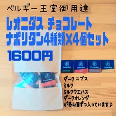 レオニダス　ミニ板チョコレート16枚セット