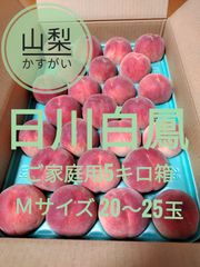 山梨・春日居町産の桃「はなよめ」加工用３kg箱 - メルカリShops