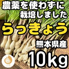 熊本県産 朝採り 新鮮らっきょう 1kg 栽培中農薬不使用 - メルカリ