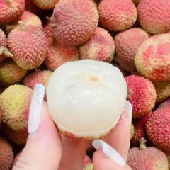 [7月11日入荷予定、入荷次第出荷]　生鮮 航空便  台湾産ライチ 1箱2kg