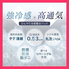 健康志向 何度も作れる】北海道ブラックシリカ水1ℓ用の浄化石100g