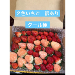 いちご  苺  2色  食べ比べ  訳あり  クール便