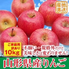 【訳あり】山形県産　サンふじ　りんご　10kg