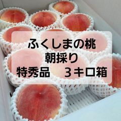 ふくしまの桃　朝採り　特秀品　３キロ箱