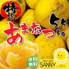 みかん 愛媛県産 特に訳あり 甘夏 箱込5.5kg 疲れた体に染み渡るビタミンＣクエン酸ビタミンＢ１もたっぷり今が旬！