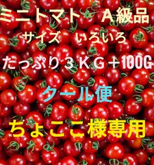 ちょここ様専用　ミニトマト３kg＋100g