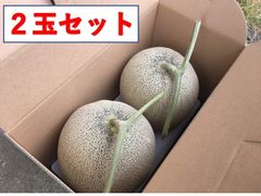 北海道産メロン　2玉セット