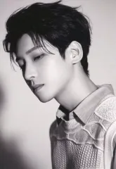 【中古】キャラカード ウォヌ(SEVENTEEN) ミニカード 「CD Your Choice ONE SIDE Ver.」 封入特典