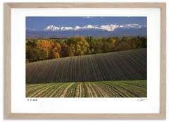 アートフォト 絵画 丘の秋1 高橋真澄/インテリア 額入り 額装込 風景画 油絵 ポスター アート アートパネル リビング 玄関 プレゼント モダン アートフレーム 飾る Mサイズ おしゃれ 壁掛け 絵